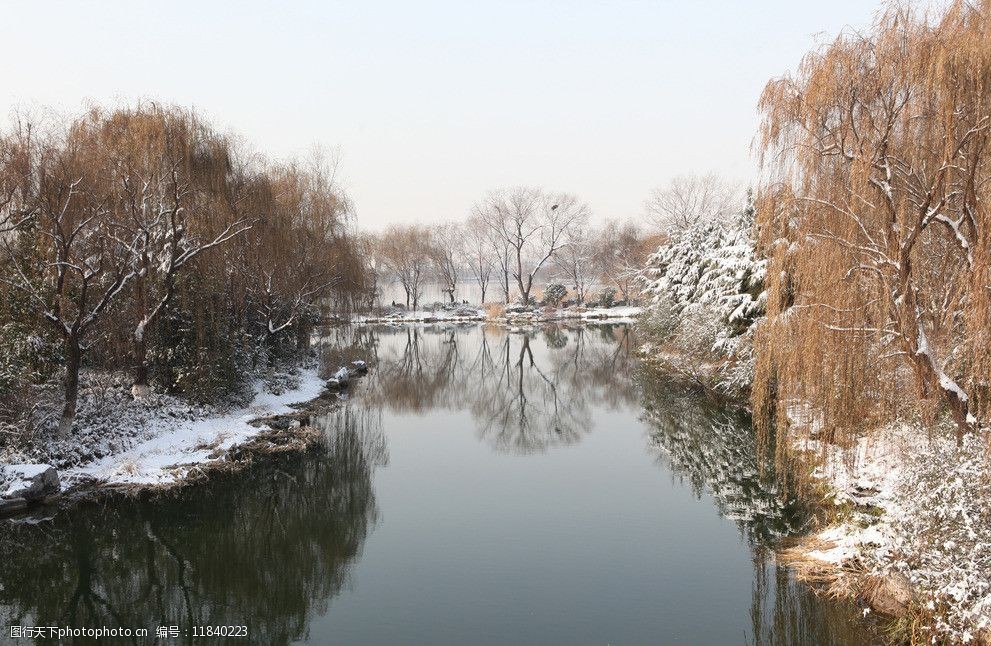 关键词:大明湖 枯树 济南 风景 素材 雪景 寒冬 第一场雪 天空 国内