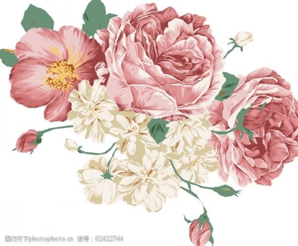 高雅手绘花卉矢量素材
