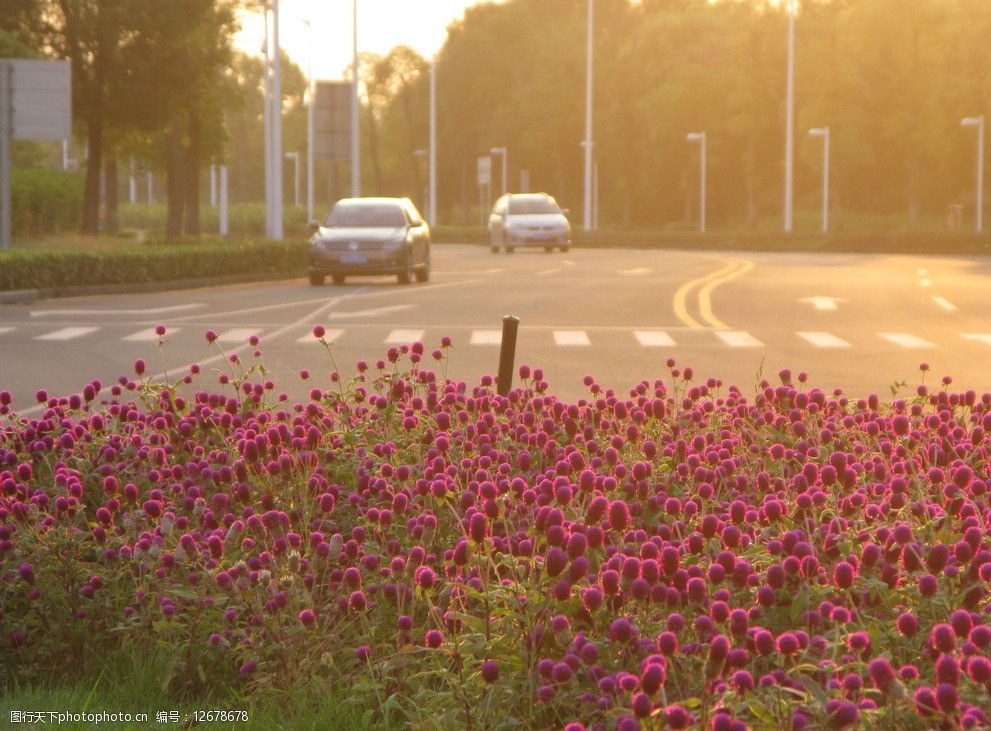 关键词:黄昏下的马路 汽车 马路 花丛 黄昏 斑马线 生活的空间 国内