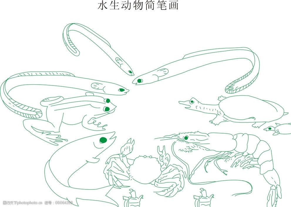 简笔画 水生动物 鱼 憋 虾 蟹 黄鳝 鳗鲡 鲈鱼 鳜鱼 海洋生物 生物