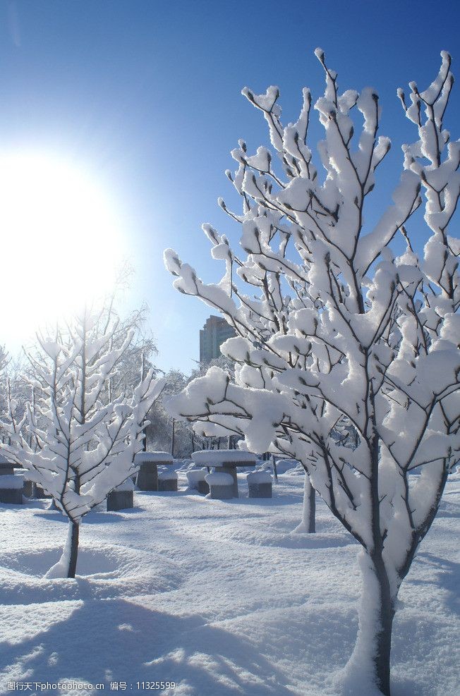 关键词:雪的世界 雪 阳光 树木 蓝天 自然风景 自然景观 摄影 72dpi