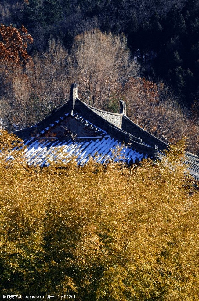 泰山竹林寺图片