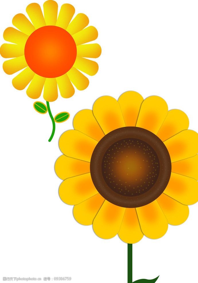 关键词:两种向日葵 向日葵 平面 黄色 可爱 卡通 绿叶 卡通花 风景