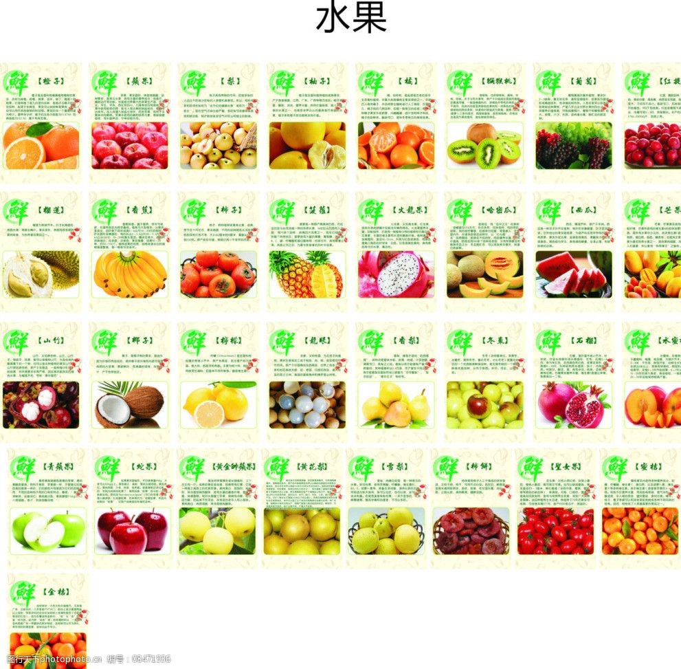 水果小贴士图片
