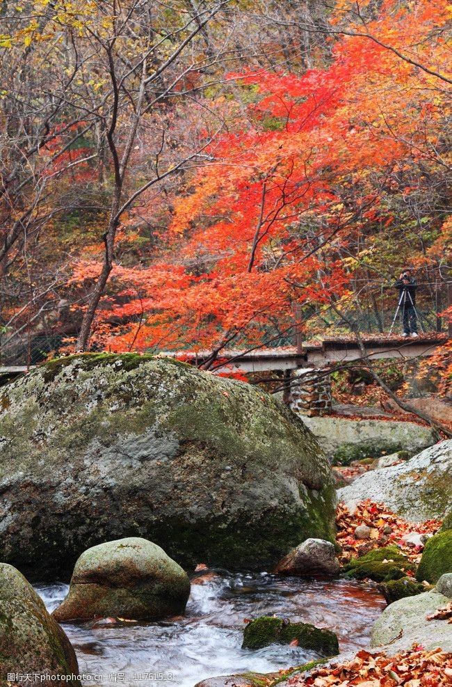 关键词:秋天的景色 秋天 枫叶 山水 风光 旅游 自然风景 自然景观