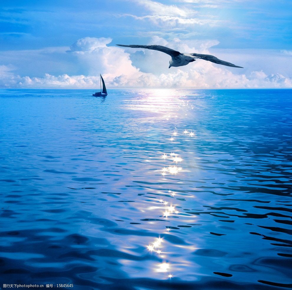 蓝天白云海洋帆船图片