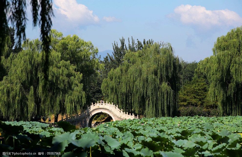 圆明园风景图片