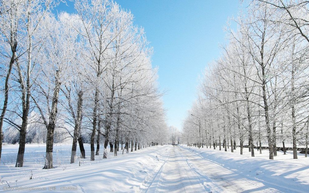 冬季雪景暖冬背景图片