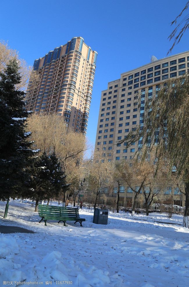 关键词:冬日雪景 白雪 大雪 积雪 蓝天 高楼 大树 自然风景 自然景观