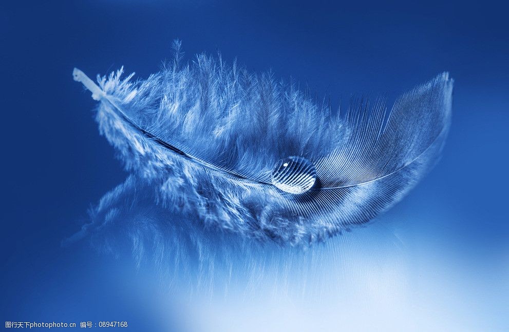 羽毛水珠水滴图片