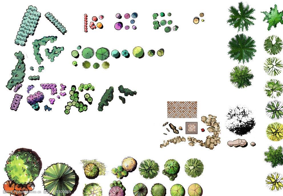 植物手绘彩平素材图片