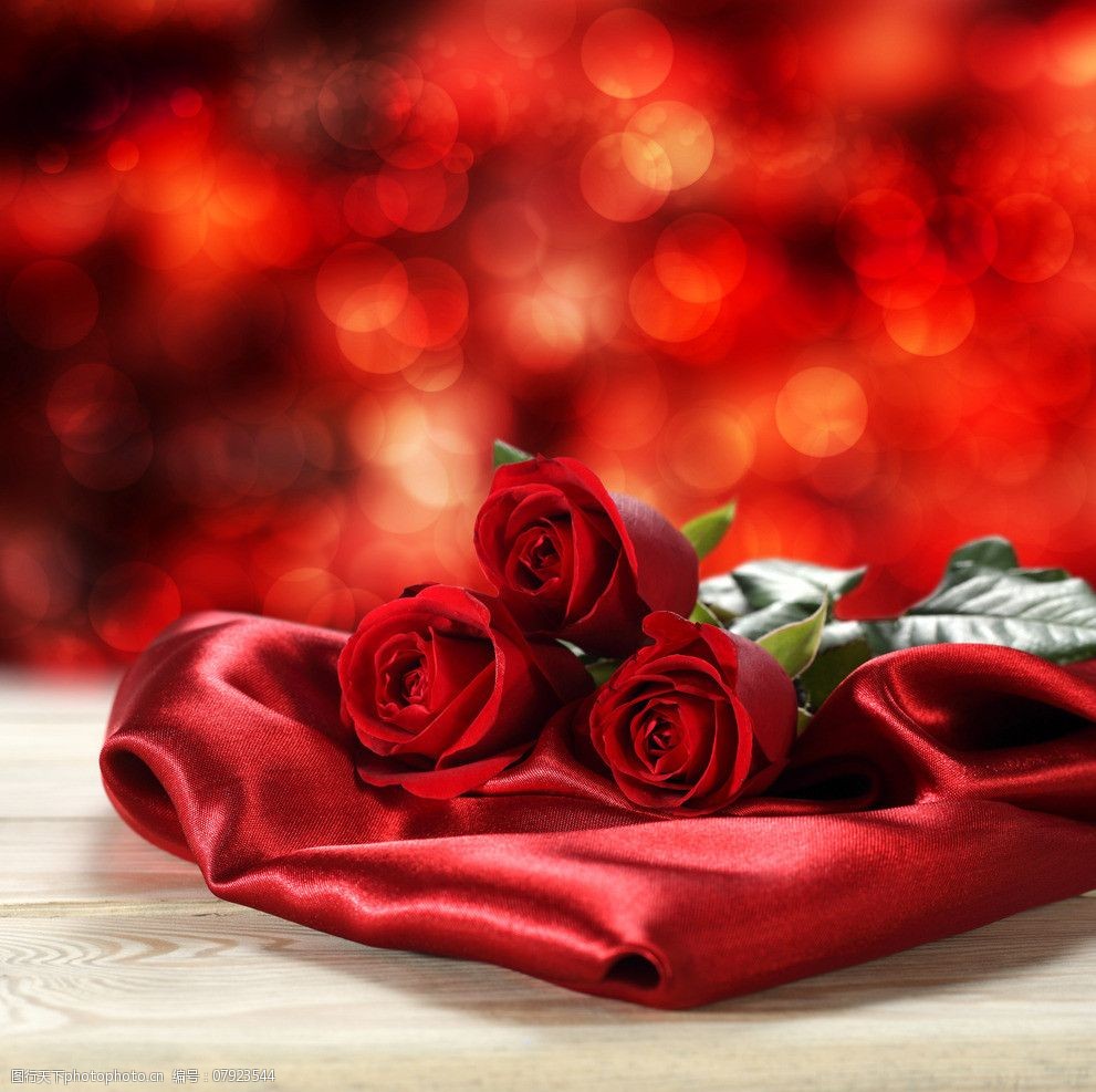 艺术字体 关键词:玫瑰花 红玫瑰 贺卡 情人节 红色丝稠 红色花朵 唯美