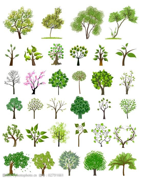 园林绿化树木矢量素材园林绿化植物