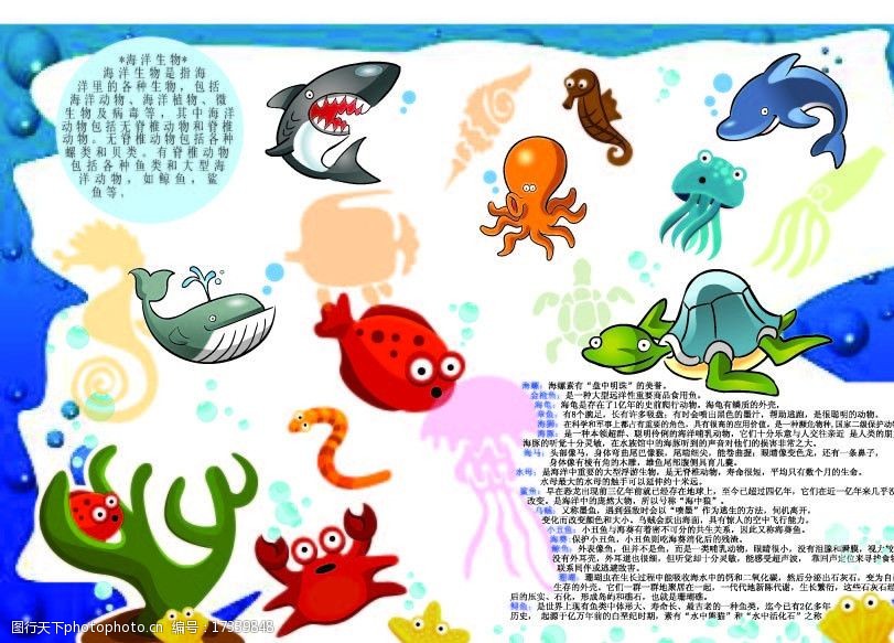 海洋生物小报图片