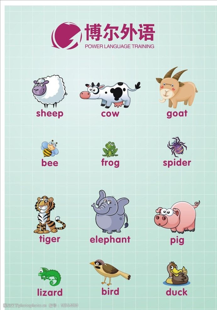 英语培训动物单词图片
