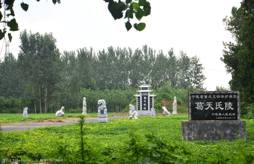 关键词:永城芒砀山景色 永城 芒砀山 山水 风景 树林 森林 风景名胜