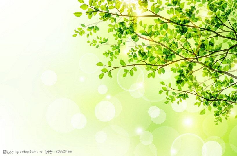 绿树绿叶背景图片