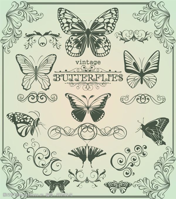 边框 抽象 花纹 时尚 矢量蝴蝶 矢量图 线条 装饰 蝴蝶线描