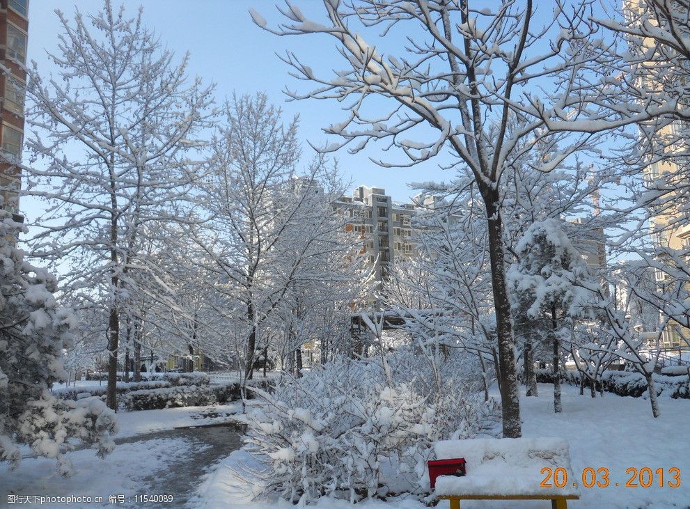 北京春天下雪图图片