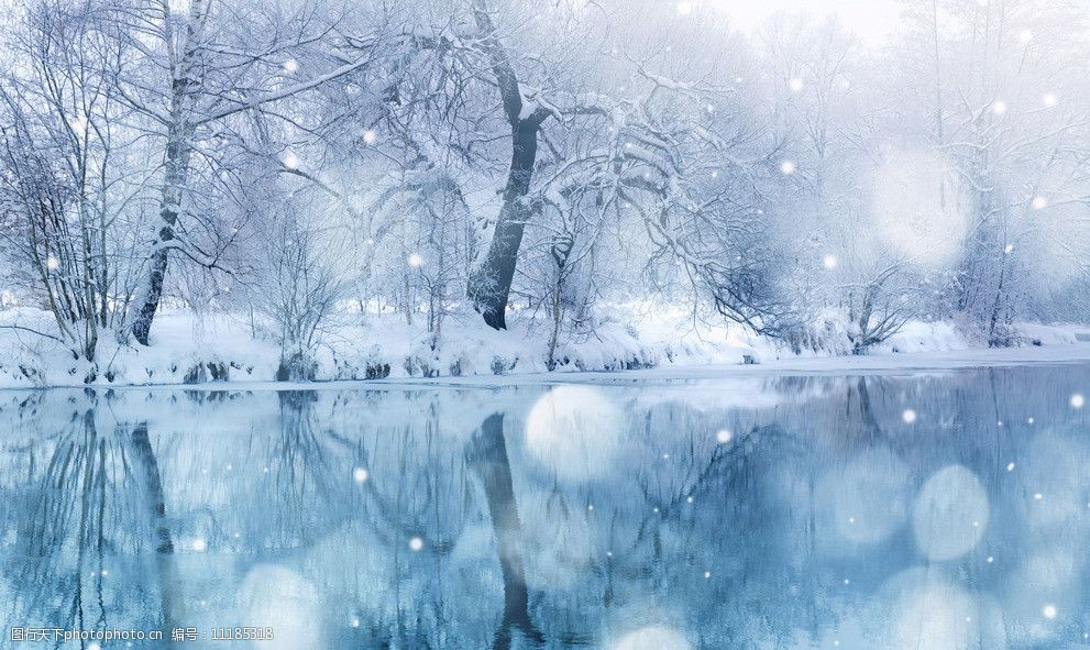 湖泊树林雪景图片