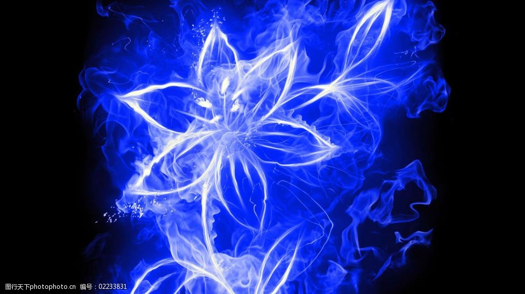 蓝色的火焰花