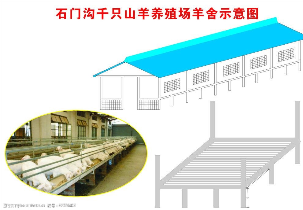 羊圈设计效果图图片