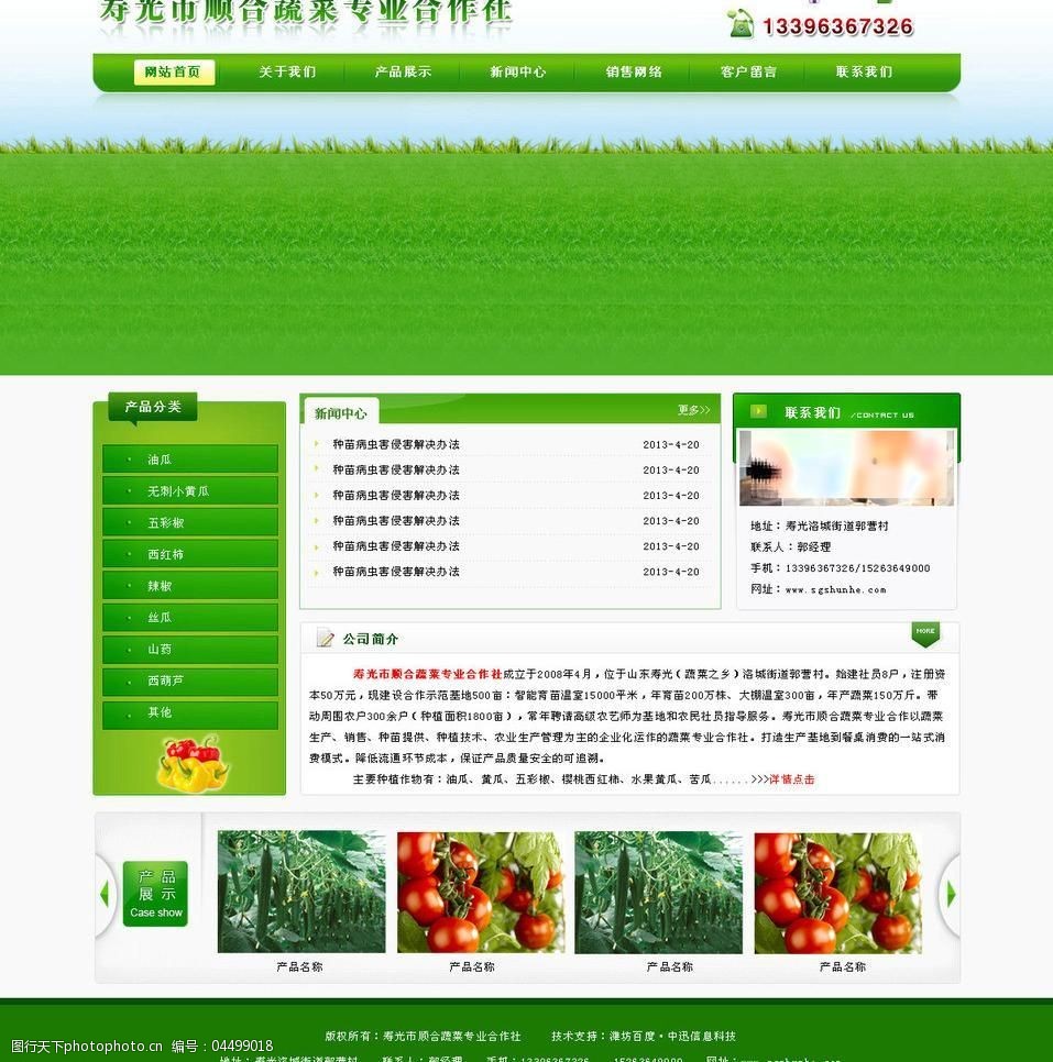 顺合蔬菜专业合作社