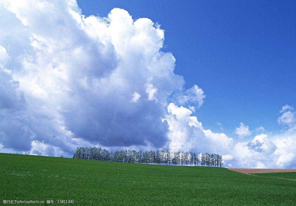 关键词:大地天空 蓝天 白云 树 草地 花朵 晴空万里 风景 山水风景