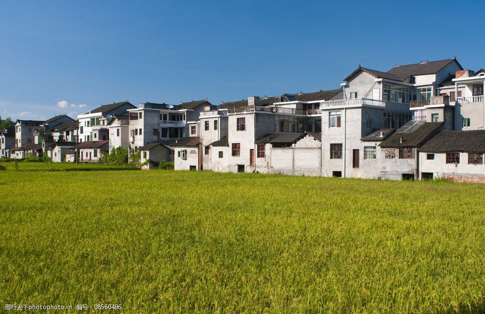 关键词:南方田园 乡村 水稻田 湖南农村 民房 农业 生态 田园 田园