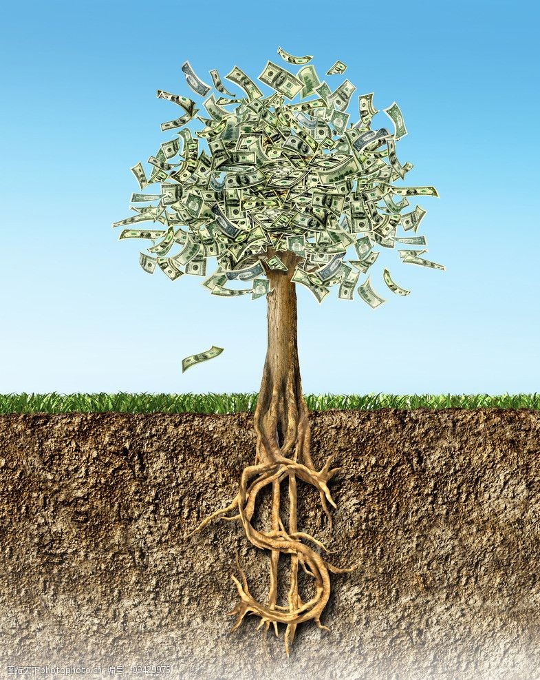 摇钱树梦幻世界图片