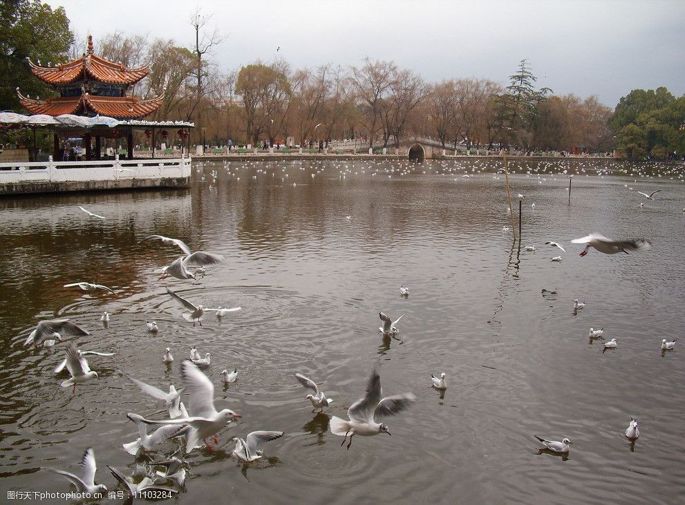 昆明翠湖图片