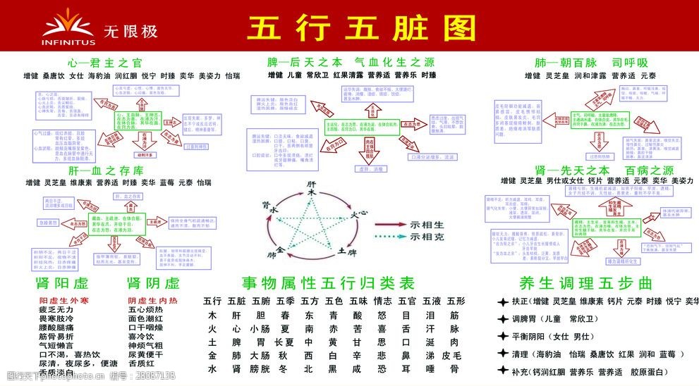 无限极五行五脏图相生