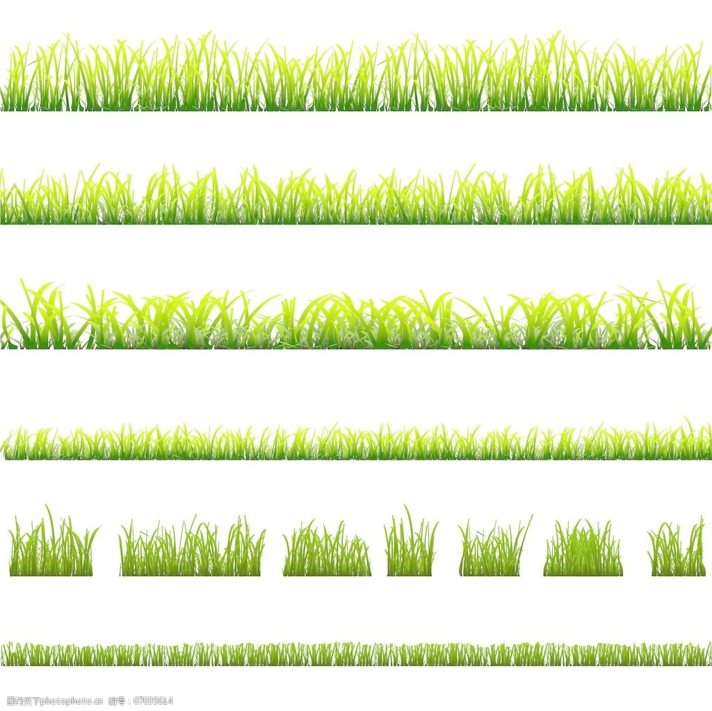 关键词:不同类型的绿草收藏免费下载 不同类型的绿草收藏 矢量图 其他