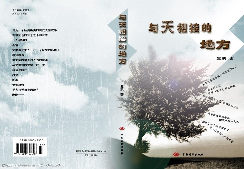 网络小说书籍封面psd分层模板