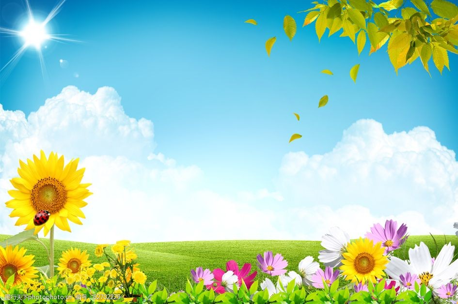 关键词:向日葵经典背景设计免费下载 花朵 蓝天白云 树叶 太阳 psd源