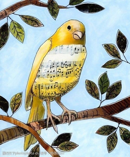 位图插画动物鸟黄莺免费素材