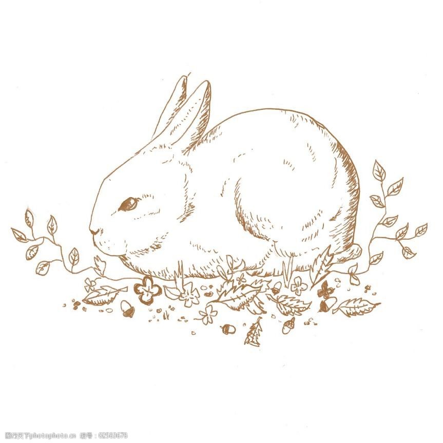 关键词:位图免费下载 动物 服装图案 免费下载 手绘 兔子 位图 艺术