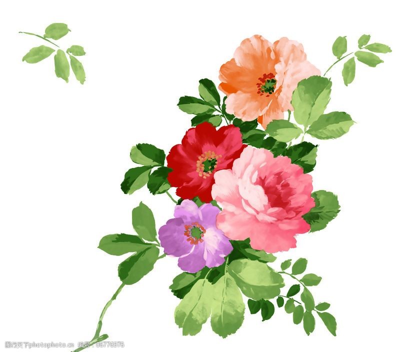 位图植物图案写意花卉花朵牡丹免费素材