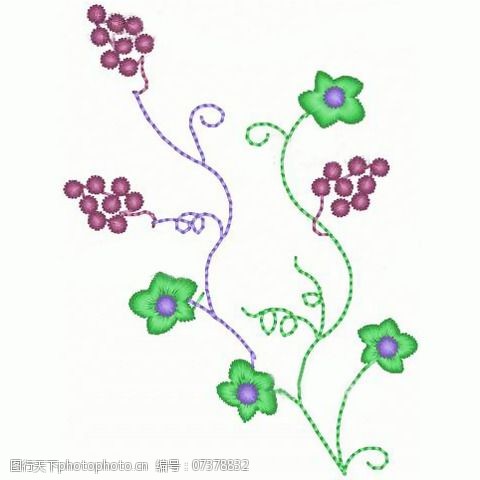 绣花植物花葡萄色彩免费素材