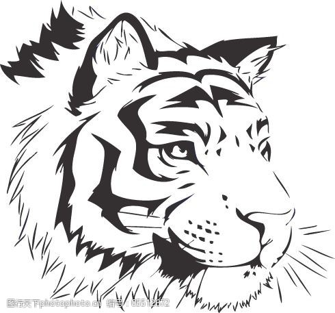 动物 服装图案 老虎 免费下载 印花矢量图 黑白色 面料图库 服装设计
