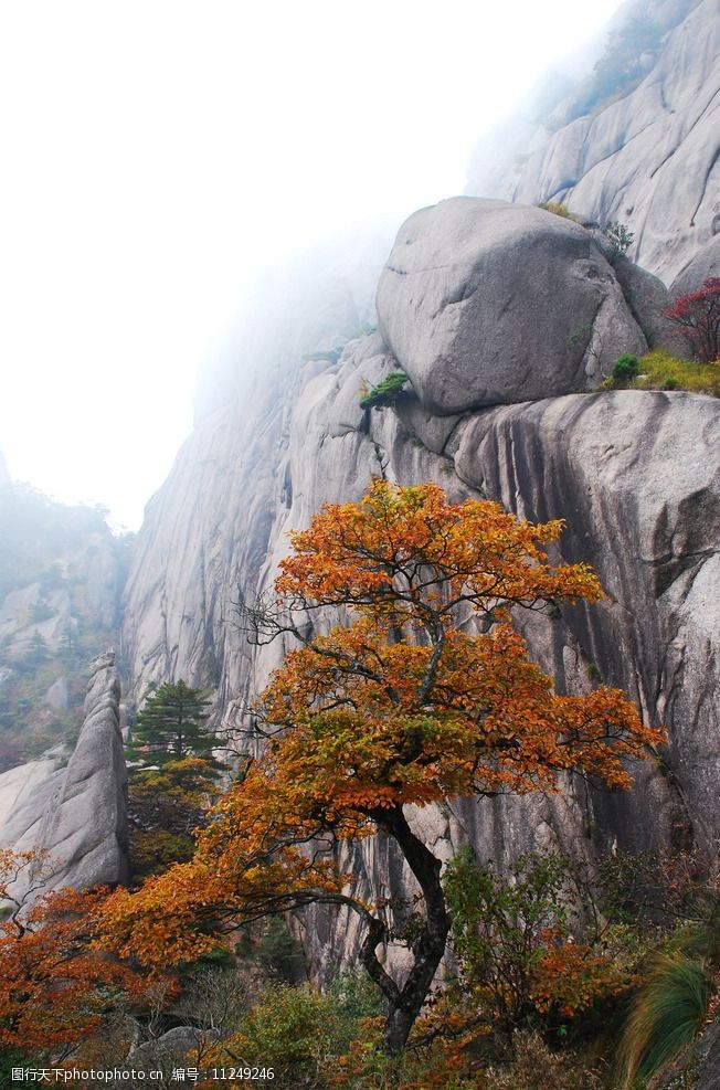 黄山秋色图片