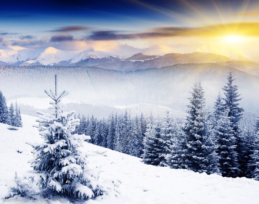 夕阳雪景图片