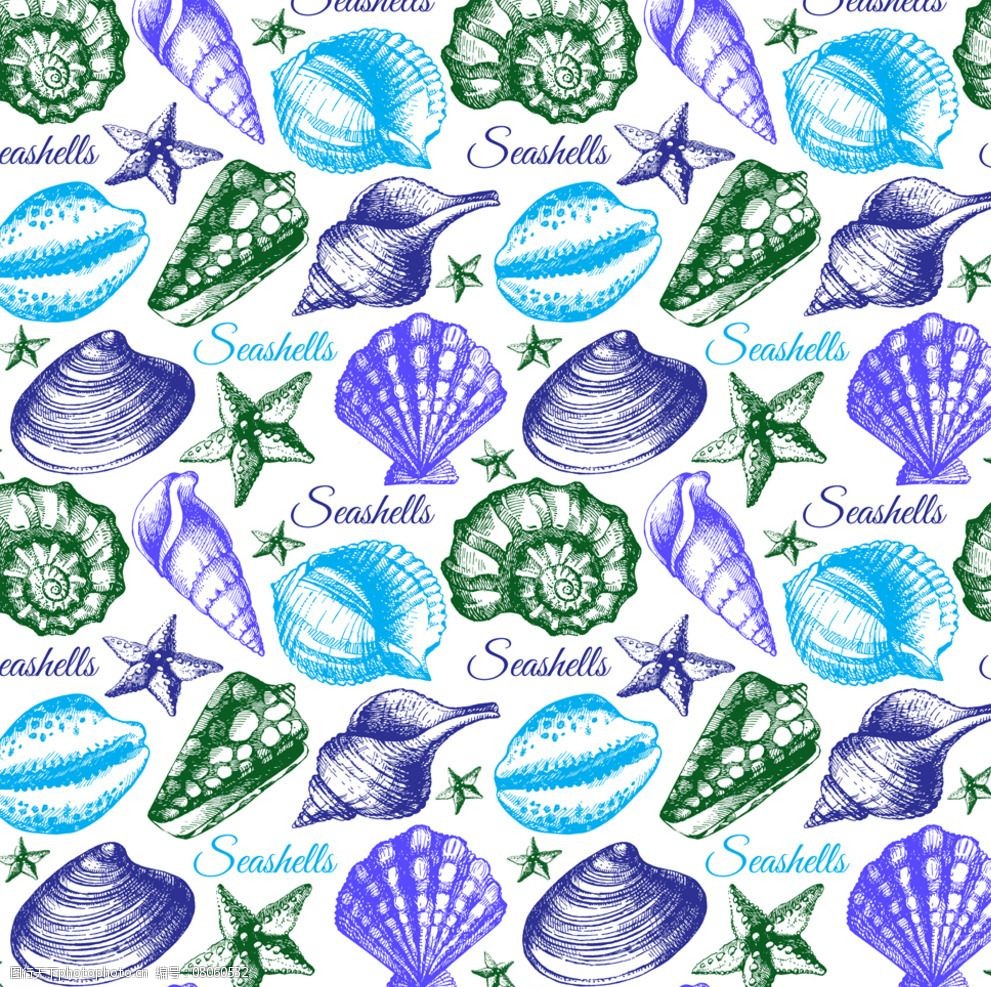 关键词:手绘贝壳 海螺 装饰品 贝壳 素描 线描 海星 海洋生物 美术