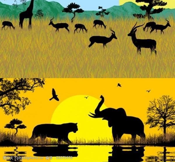 5个非洲野生动物剪影矢量