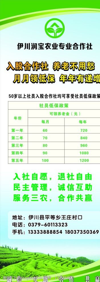关键词:农村合作社 农业 农村 合作社 农村养老 农产品 广告设计 设计