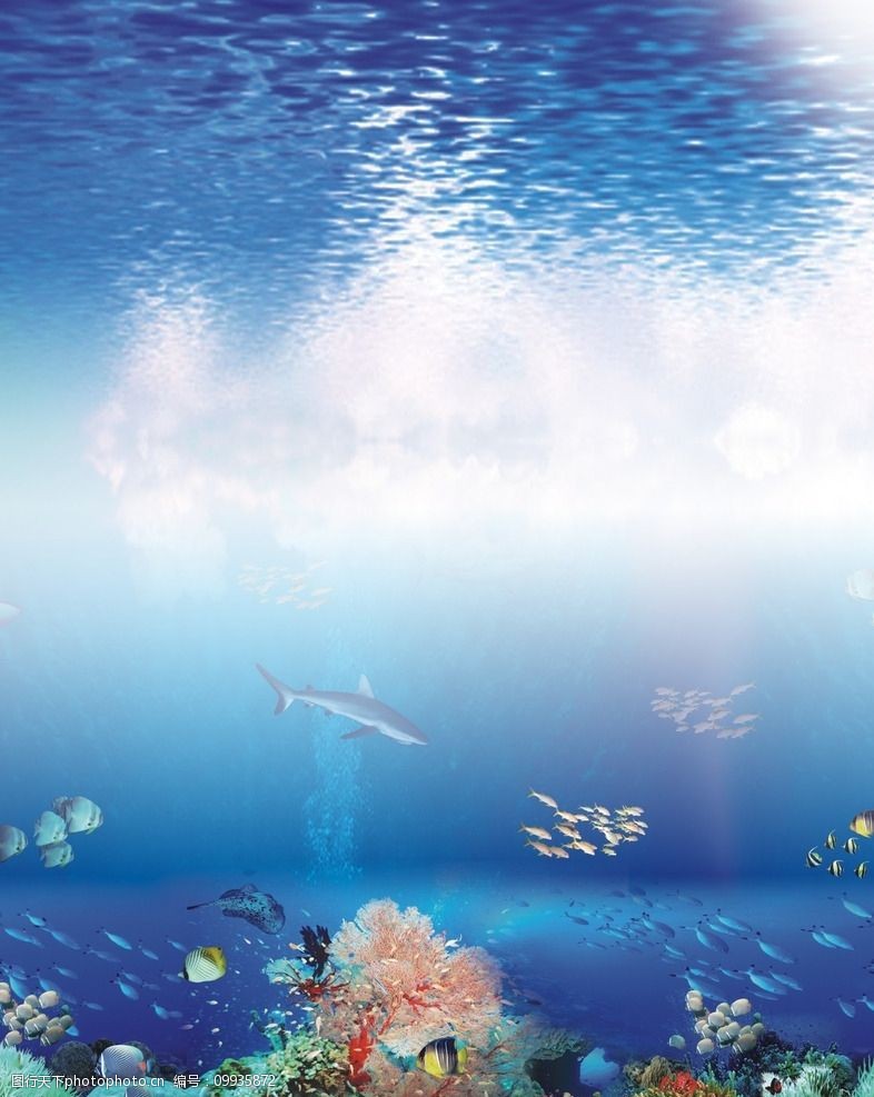 关键词:海底世界背景 海底世界 底图 背景 蓝色 鱼 水波 鱼类 生物