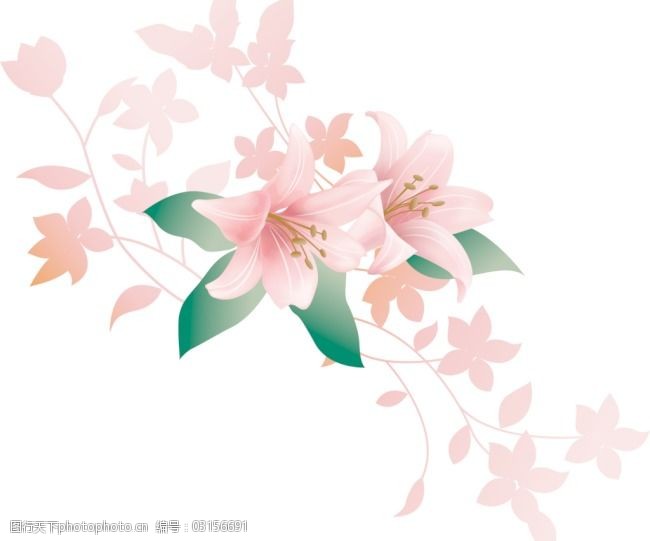 矢量边框花纹 矢量花纹素材 矢量图库 手绘百合图片 花纹花边