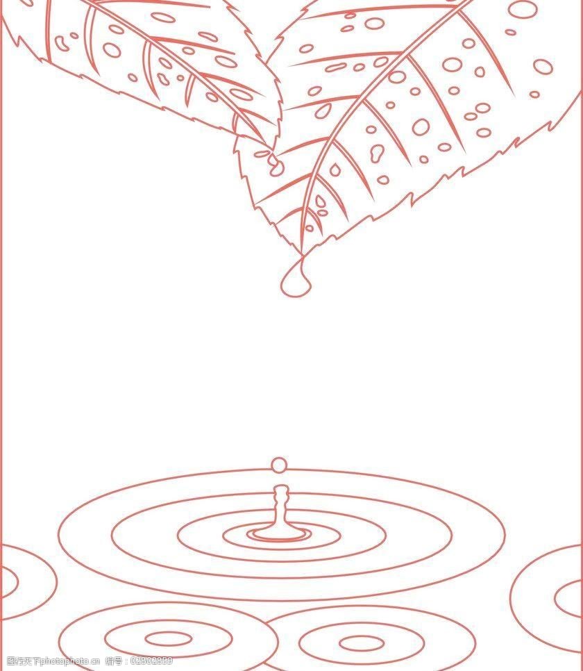 树叶水滴图片