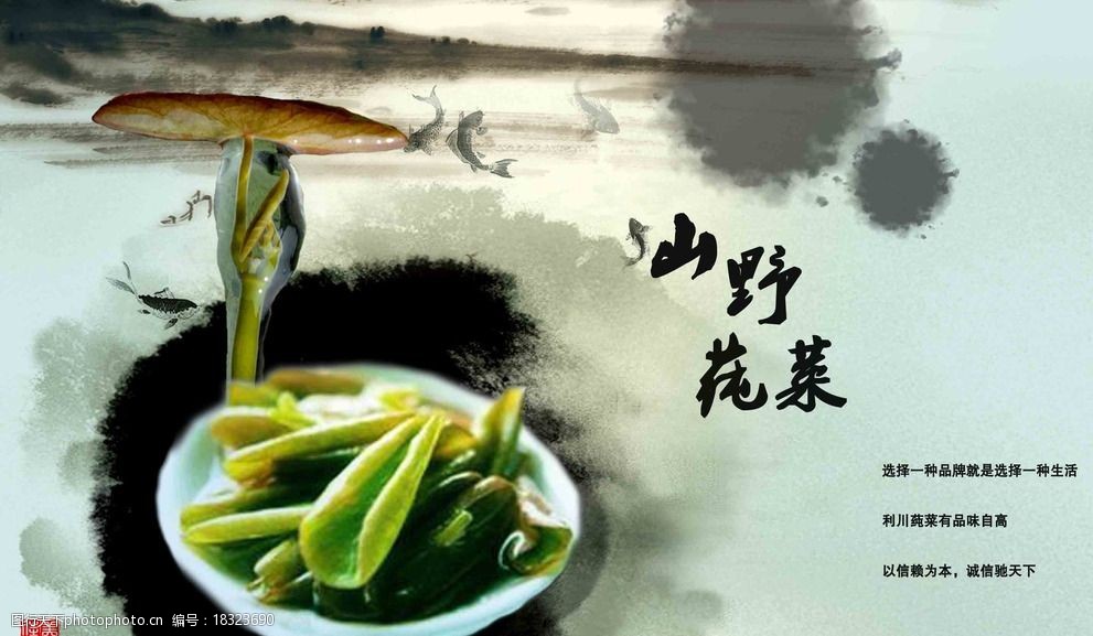 莼菜海报图片