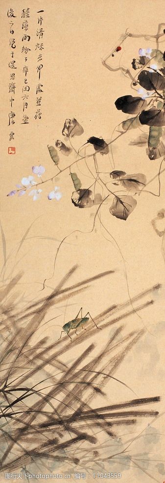 关键词:豆花秋虫 国画 唐云 豆花 蚂蚱 秋虫 绘画艺术 绘画书法 国画